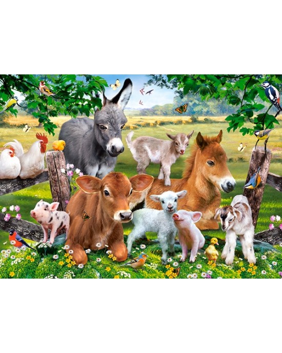 100 κομμάτια ON THE FARM