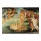 2000 κομμάτια THE BIRTH OF VENUS