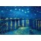 1000 κομμάτια STARRY NIGHT OVER THE RHONE, 1888