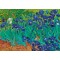 1000 κομμάτια IRISES, 1889