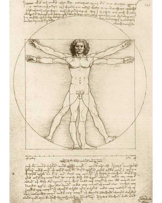 1000 κομμάτια THE VITRUVIAN MAN, 1490