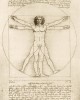 1000 κομμάτια THE VITRUVIAN MAN, 1490