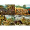 1000 κομμάτια THE FOUR SEASONS