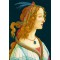 1000 κομμάτια IDEALIZED PORTRAIT OF A LADY, 1480