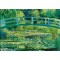 1000 κομμάτια THE WATER LILY POND, 1899