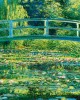 1000 κομμάτια THE WATER LILY POND, 1899