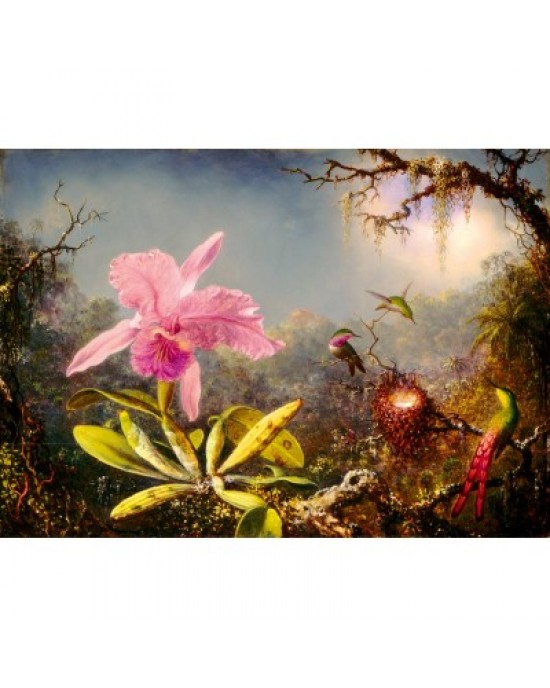 1000 κομμάτια CATTLEYA ORCHID AND THREE HUMMINGBIRDS, 1871