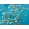 1000 κομμάτια ALMOND BLOSSOM, 1890