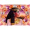 1000 κομμάτια CLEOPATRA