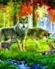 1000 κομμάτια SUMMER WOLF FAMILY
