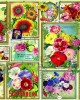 1500 κομμάτια FLOWER PICTURES