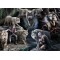 1500 κομμάτια WOLF COLLAGE