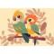 12 κομμάτια LITTLE BIRDS
