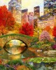 2000 κομμάτια CENTRAL PARK NYC