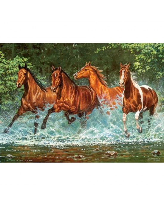 300 κομμάτια CASCADE RUN