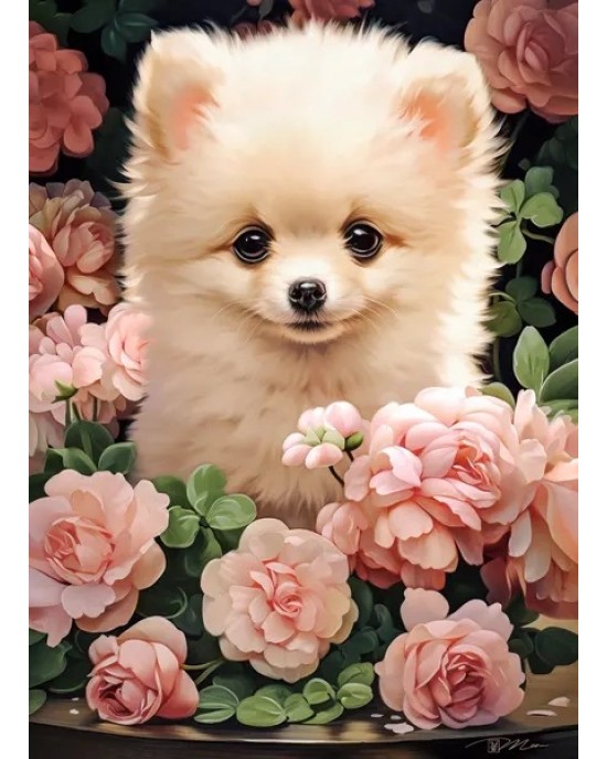 300 κομμάτια POMERANIAN PUPPY IN ROSES