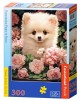 300 κομμάτια POMERANIAN PUPPY IN ROSES
