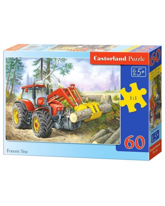 60 κομμάτια FOREST SITE