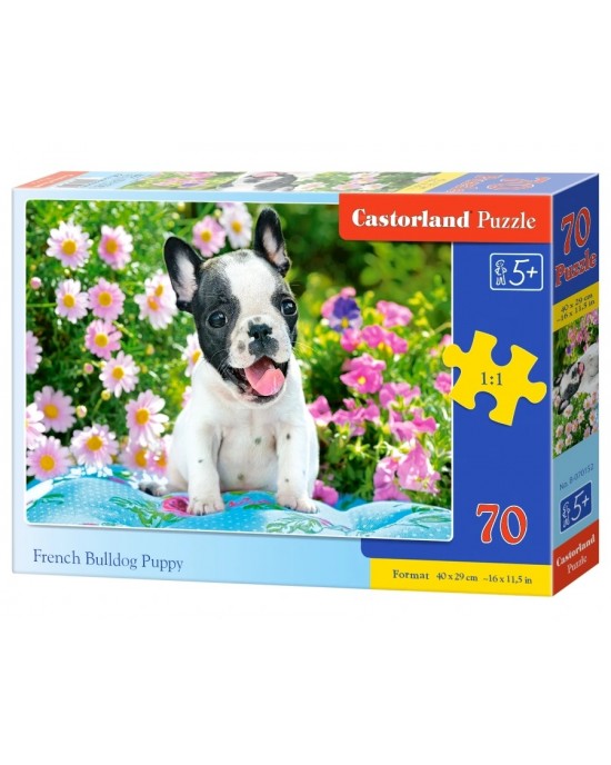 70 κομμάτια FRENCH BULLDOG PUPPY