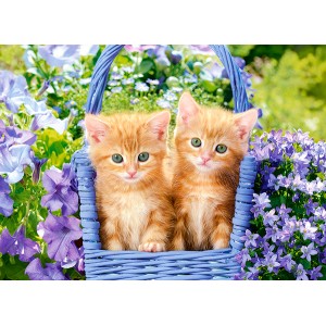 70 κομμάτια GINGER KITTENS