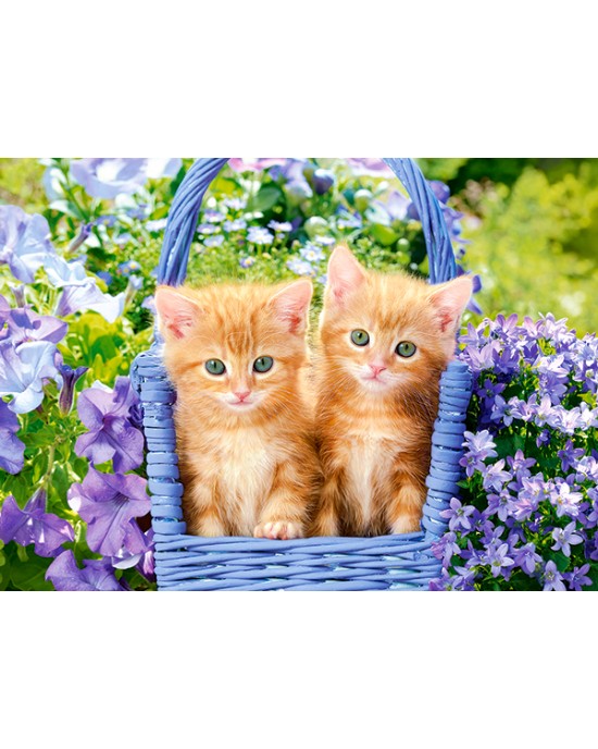 70 κομμάτια GINGER KITTENS