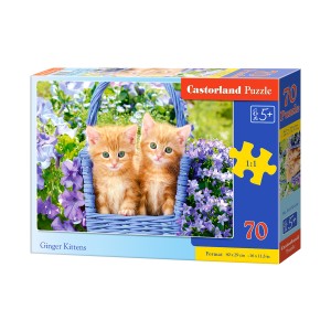 70 κομμάτια GINGER KITTENS