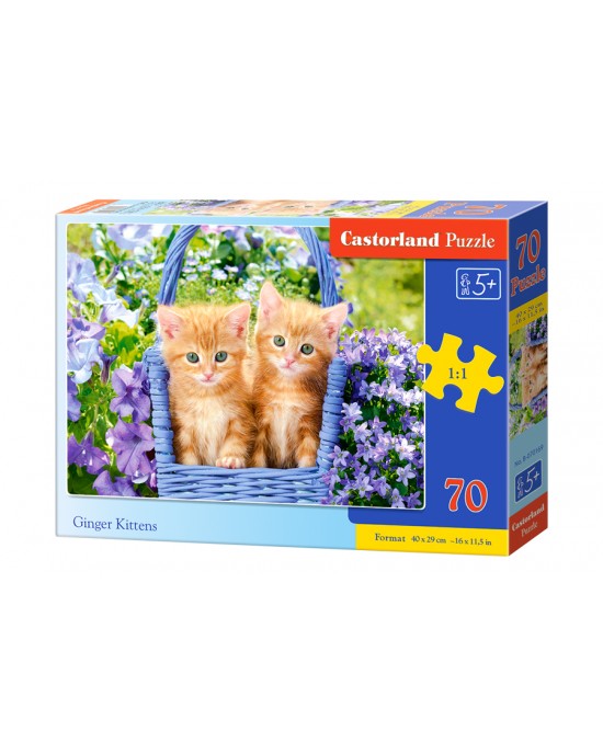 70 κομμάτια GINGER KITTENS
