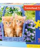 70 κομμάτια GINGER KITTENS