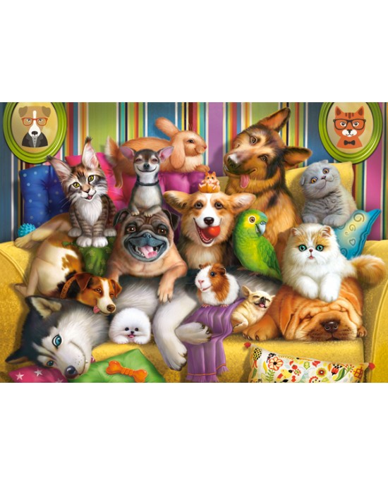 70 κομμάτια PLAYFUL PETS