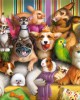 70 κομμάτια PLAYFUL PETS