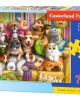 70 κομμάτια PLAYFUL PETS