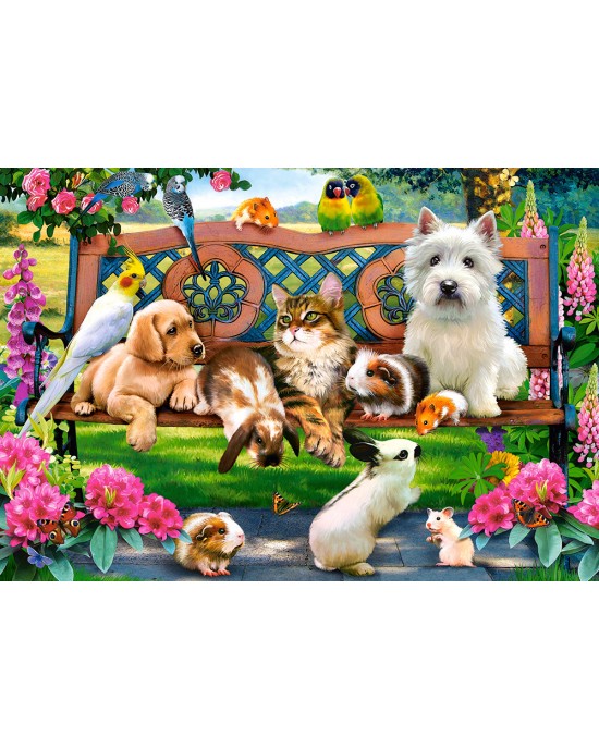 1000 κομμάτια PETS IN THE PARK