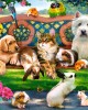 1000 κομμάτια PETS IN THE PARK