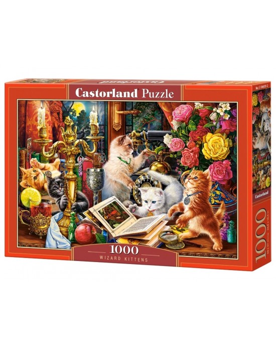 1000 κομμάτια WIZARD KITTENS