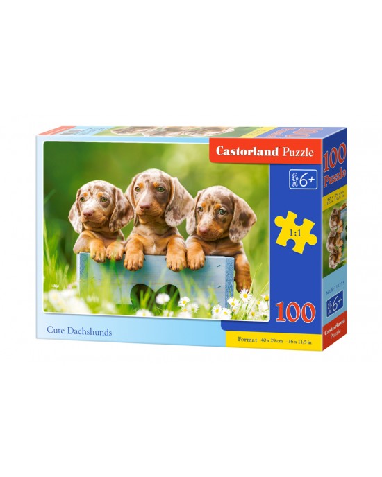100 κομμάτια CUTE DACHSHUNDS