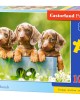 100 κομμάτια CUTE DACHSHUNDS