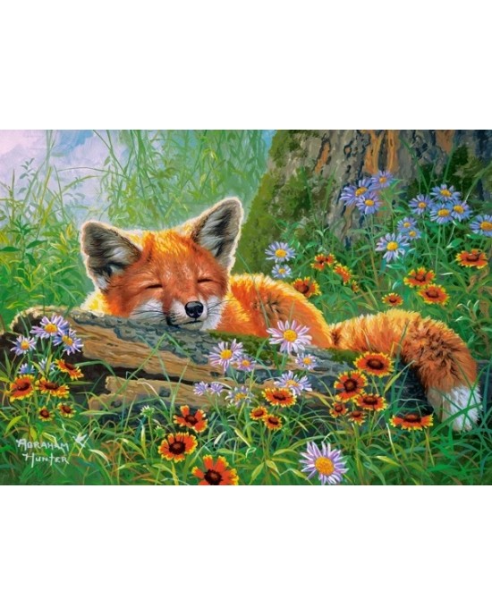 100 κομμάτια FOXY DREAMS