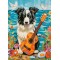 100 κομμάτια COLLIE, GUITAR AND THE SEA