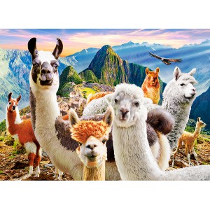 200 κομμάτια LLAMAS SELFIE