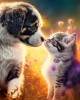 260 κομμάτια NEW FRIENDSHIP