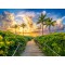 3000 κομμάτια COLOFUL SUNRISE IN MIAMI, USA