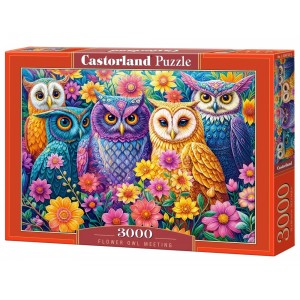 3000 κομμάτια FLOWER OWL MEETING