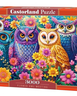 3000 κομμάτια FLOWER OWL MEETING