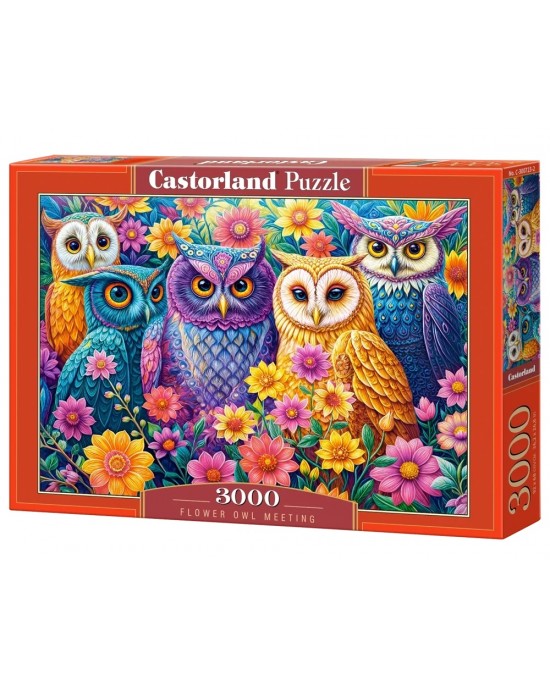3000 κομμάτια FLOWER OWL MEETING