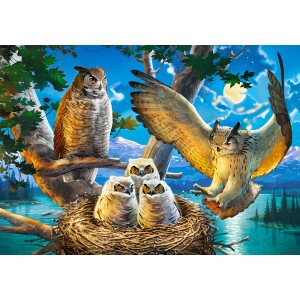 500 κομμάτια OWL FAMILY