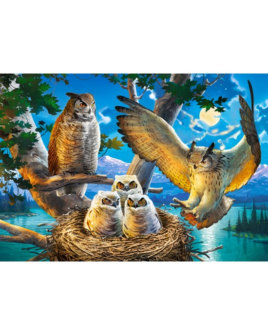 500 κομμάτια OWL FAMILY