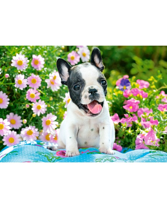 500 κομμάτια FRENCH BULLDOG PUPPY