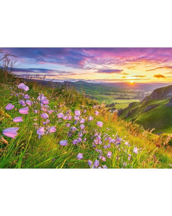 500 κομμάτια HAREBELLS AT SUNRISE