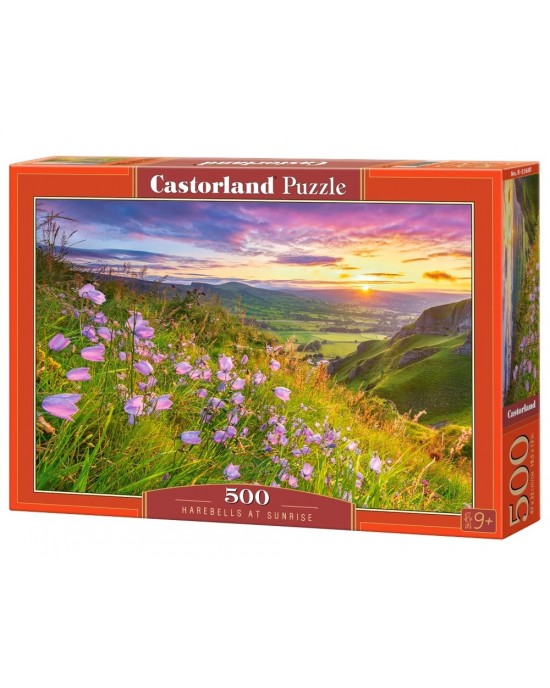 500 κομμάτια HAREBELLS AT SUNRISE