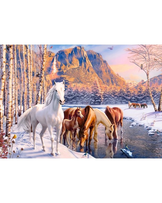 500 κομμάτια WINTER MELT